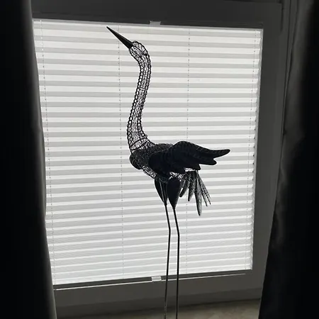 Πανσιόν Modernes, Grosses 95 Qm